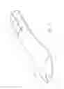 Fig. 06 - Foot prosthesis with resilient multi-axial ankle