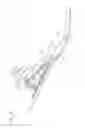 Fig. 27 - Foot prosthesis with resilient multi-axial ankle