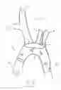 Fig. 12 - Frame structures, stent grafts incorporating the same, and methods for extended aortic repair