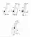 Fig. 08 - Sleeve gastrectomy calibration tube and method of using same