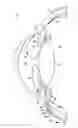 Fig. 01 - Devices, systems and methods for posterior segment drainage