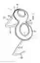 Fig. 02 - Eye Shield Device
