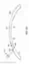 Fig. 52 - CONFORMABLE THERAPEUTIC SHIELD FOR VISION AND PAIN
