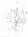 Fig. 22 - Apparatuses for transferring discrete articles