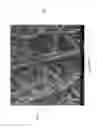 Fig. 28 - Nonwoven Web