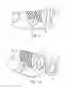 Fig. 06 - Urinal