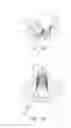 Fig. 07 - Urinal