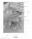 Fig. 23 - Game-based sensorimotor rehabilitator