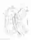 Fig. 41 - Self contained powered exoskeleton walker for a disabled user