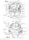 Fig. 07 - Solution delivery device and method
