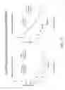 Fig. 12 - Activated micro-bubble based root canal disinfection