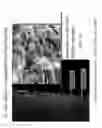Fig. 13 - Activated micro-bubble based root canal disinfection