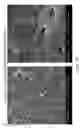 Fig. 19 - Activated micro-bubble based root canal disinfection