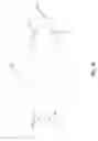 Fig. 13 - SUNSCREEN SHEET