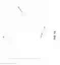 Fig. 02 - Dermatological sheet having a composition impregnated therein