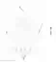 Fig. 05 - Dermatological sheet having a composition impregnated therein