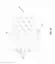 Fig. 06 - Dermatological sheet having a composition impregnated therein