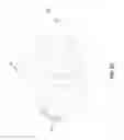 Fig. 10 - Dermatological sheet having a composition impregnated therein