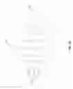 Fig. 11 - Dermatological sheet having a composition impregnated therein