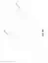 Fig. 12 - Dermatological sheet having a composition impregnated therein