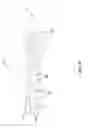 Fig. 17 - Dermatological sheet having a composition impregnated therein