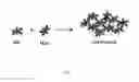 Fig. 03 - Cosmetic composition containing novel fractal particle-based gels