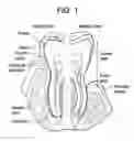 Fig. 02 - ORAL CARE COMPOSITIONS FOR TREATMENT OF SENSITIVE TEETH