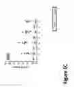 Fig. 04 - METHODS AND COMPOSITIONS FOR IMPROVING OUTCOMES OF LIPOSOMAL CHEMOTHERAPY