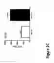 Fig. 08 - METHODS AND COMPOSITIONS FOR IMPROVING OUTCOMES OF LIPOSOMAL CHEMOTHERAPY