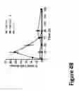 Fig. 17 - METHODS AND COMPOSITIONS FOR IMPROVING OUTCOMES OF LIPOSOMAL CHEMOTHERAPY