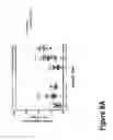 Fig. 25 - METHODS AND COMPOSITIONS FOR IMPROVING OUTCOMES OF LIPOSOMAL CHEMOTHERAPY