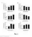 Fig. 04 - Anxiolytic effect of pterostilbene