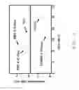 Fig. 02 - Topical pterostilbene compositions for use in treating UV-induced loss of barrier function in skin