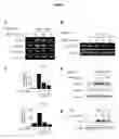 Fig. 02 - Composition for preventing or treating renal fibrosis comprising dimethylfumarate as active ingredient