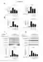 Fig. 03 - Composition for preventing or treating renal fibrosis comprising dimethylfumarate as active ingredient