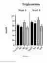 Fig. 06 - Compositions and methods for producing elevated and sustained ketosis