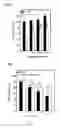 Fig. 02 - USE OF ERGOTHIONEINE FOR INDUCING ACTIVITY OF NRF2 IN CELL