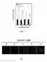 Fig. 04 - USE OF ERGOTHIONEINE FOR INDUCING ACTIVITY OF NRF2 IN CELL