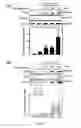 Fig. 08 - USE OF ERGOTHIONEINE FOR INDUCING ACTIVITY OF NRF2 IN CELL