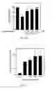 Fig. 11 - USE OF ERGOTHIONEINE FOR INDUCING ACTIVITY OF NRF2 IN CELL