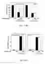 Fig. 14 - USE OF ERGOTHIONEINE FOR INDUCING ACTIVITY OF NRF2 IN CELL