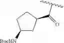 Fig. 488 - Hepatitis C virus inhibitors