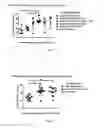 Fig. 02 - Methods and compositions for attenuating anti-viral transfer vector immune responses
