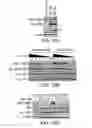 Fig. 20 - Biomarkers for response to rapamycin analogs