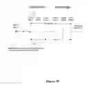 Fig. 14 - METHODS FOR TREATING A STROKE-RELATED SENSORIMOTOR IMPAIRMENT USING AMINOPYRIDINES