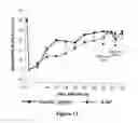 Fig. 17 - METHODS FOR TREATING A STROKE-RELATED SENSORIMOTOR IMPAIRMENT USING AMINOPYRIDINES