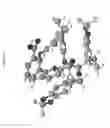 Fig. 24 - PHARMACEUTICAL COMPOSITIONS AND ADMINISTRATIONS THEREOF
