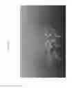 Fig. 28 - PHARMACEUTICAL COMPOSITIONS AND ADMINISTRATIONS THEREOF