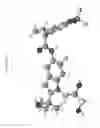 Fig. 38 - PHARMACEUTICAL COMPOSITIONS AND ADMINISTRATIONS THEREOF