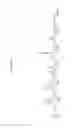 Fig. 41 - PHARMACEUTICAL COMPOSITIONS AND ADMINISTRATIONS THEREOF